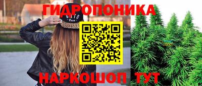 прущие грибы Комсомольск-на-Амуре