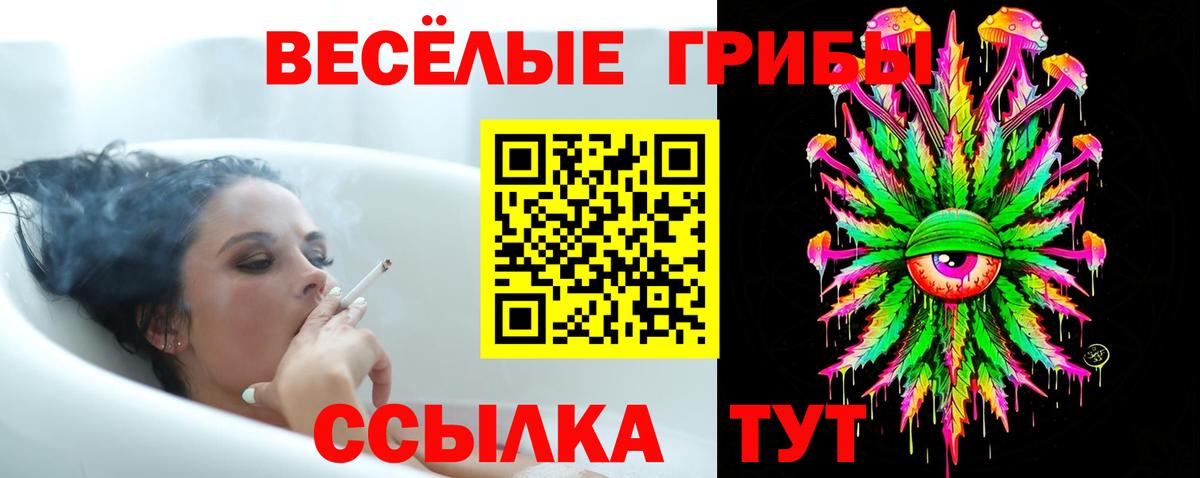 Псилоцибиновые грибы Psilocybine cubensis  Вход с VPN  Кировск 